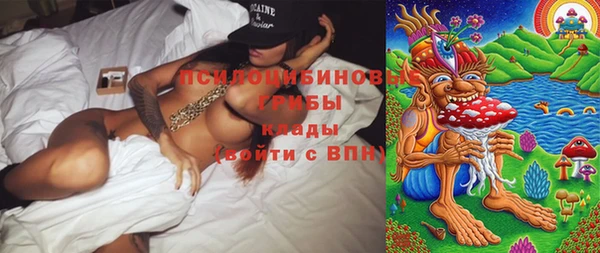 гидра Балахна