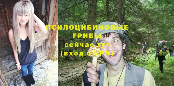 твердый Пестово